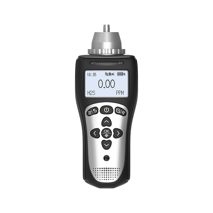 How should an unused portable gas detector be stored and maintained?